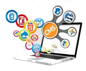 Web Development: Building Digital Experiences That Drive Growth